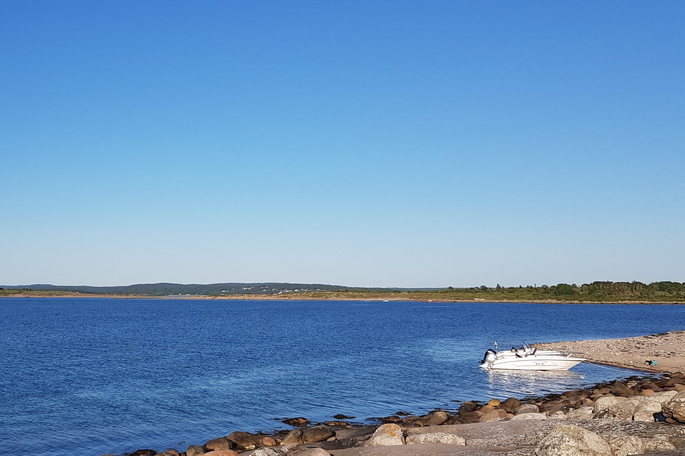 cropped-2018-05-31-19.38.22-e1530818316802.jpg